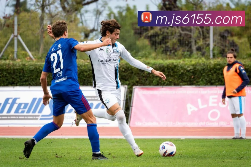 战术分析频道